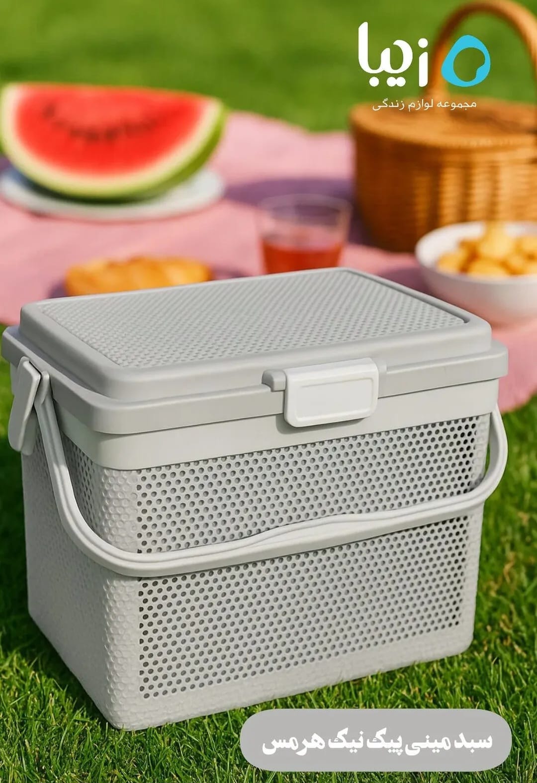 Mini Picnic Basket Hermes