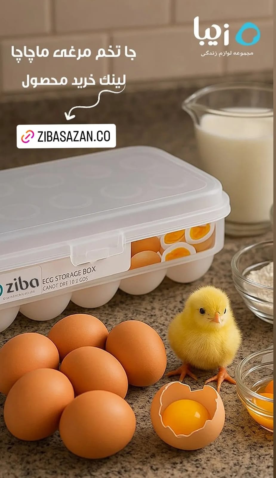 Egg Container Machacha 10 Slot